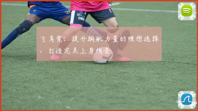 飞鸟凳：提升胸肌力量的理想选择，打造完美上身线条