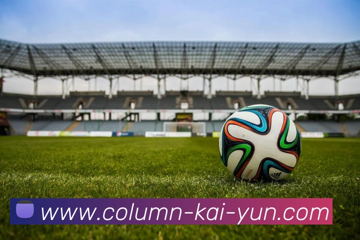 App Interface Preview